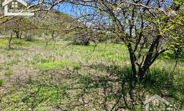 TERRENO EN ZOQUITAL ATOTONILCO 10677 m2 $257 el m2