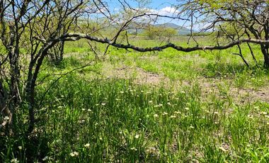 TERRENO EN ZOQUITAL ATOTONILCO 10677 m2 $257 el m2