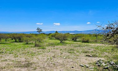 TERRENO EN ZOQUITAL ATOTONILCO 10677 m2 $257 el m2