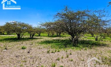 TERRENO EN ZOQUITAL ATOTONILCO 10677 m2 $257 el m2