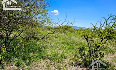 TERRENO EN ZOQUITAL ATOTONILCO 10677 m2 $257 el m2