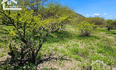 TERRENO EN ZOQUITAL ATOTONILCO 10677 m2 $257 el m2