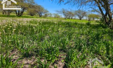 TERRENO EN ZOQUITAL ATOTONILCO 10677 m2 $257 el m2