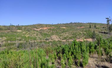 Parcela con conexión a playas de la VI y VII región en oferta!