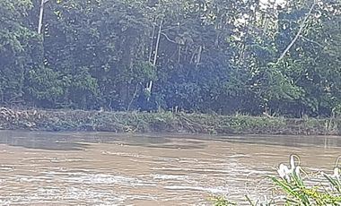 OPORTUNIDAD DE NEGOCIO ISLA EN VENTA  EN TABULE FINCA DE VENTA DE  289 HECTARIAS .. CON TECA Y PROYECTO TURISTICO