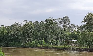 OPORTUNIDAD DE NEGOCIO ISLA EN VENTA  EN TABULE FINCA DE VENTA DE  289 HECTARIAS .. CON TECA Y PROYECTO TURISTICO
