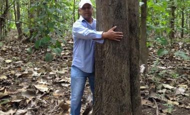 OPORTUNIDAD DE NEGOCIO ISLA EN VENTA  EN TABULE FINCA DE VENTA DE  289 HECTARIAS .. CON TECA Y PROYECTO TURISTICO
