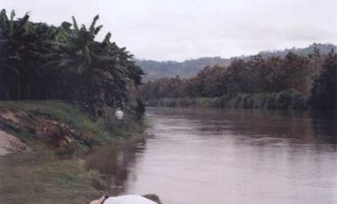 OPORTUNIDAD DE NEGOCIO ISLA EN VENTA  EN TABULE FINCA DE VENTA DE  289 HECTARIAS .. CON TECA Y PROYECTO TURISTICO