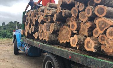 OPORTUNIDAD DE NEGOCIO ISLA EN VENTA  EN TABULE FINCA DE VENTA DE  289 HECTARIAS .. CON TECA Y PROYECTO TURISTICO