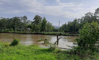 OPORTUNIDAD DE NEGOCIO ISLA EN VENTA  EN TABULE FINCA DE VENTA DE  289 HECTARIAS .. CON TECA Y PROYECTO TURISTICO