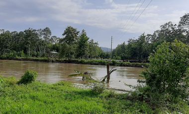OPORTUNIDAD DE NEGOCIO ISLA EN VENTA  EN TABULE FINCA DE VENTA DE  289 HECTARIAS .. CON TECA Y PROYECTO TURISTICO