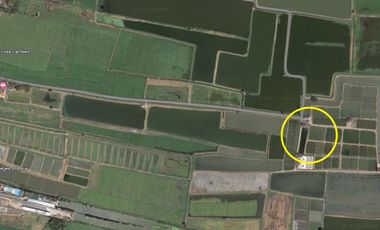 Foreclosed Former 2-Hectare Agricultural Fishpond for Sale near Exact Colleges, Arayat, Pampanga