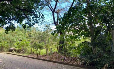 MC - FOR SALE: 3,844 sqm Residential Lot in Valley Golf Subdivision, Antipolo