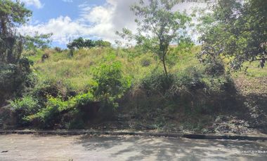 341 sqm Prime Residential Lot For Sale in Sun Valley Antipolo Rizal