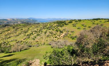 Se vende Parcela en comuna de la Estrella, Litueche
