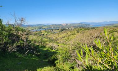 Se vende Parcela en comuna de la Estrella, Litueche