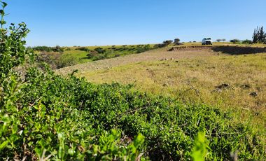 Se vende Parcela en comuna de la Estrella, Litueche