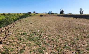 Se vende Parcela en comuna de la Estrella, Litueche
