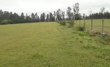 2024/305  HERMOSA PARCELA SECTOR EL MANZANO PELARCO