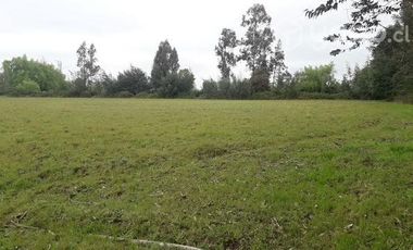 2024/305  HERMOSA PARCELA SECTOR EL MANZANO PELARCO
