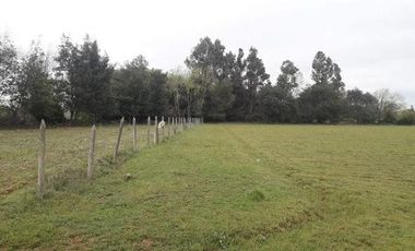 2024/305  HERMOSA PARCELA SECTOR EL MANZANO PELARCO
