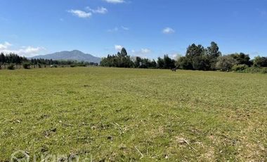 2024/305  HERMOSA PARCELA SECTOR EL MANZANO PELARCO