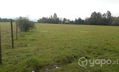 2024/305  HERMOSA PARCELA SECTOR EL MANZANO PELARCO