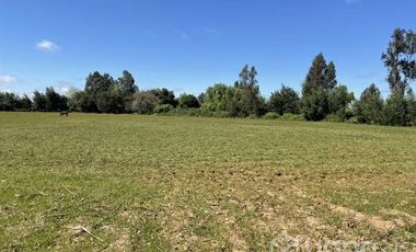 2024/305  HERMOSA PARCELA SECTOR EL MANZANO PELARCO