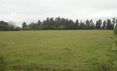 2024/305  HERMOSA PARCELA SECTOR EL MANZANO PELARCO
