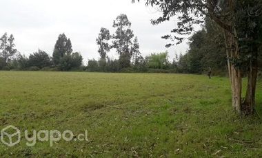 2024/305  HERMOSA PARCELA SECTOR EL MANZANO PELARCO
