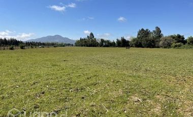 2024/305  HERMOSA PARCELA SECTOR EL MANZANO PELARCO
