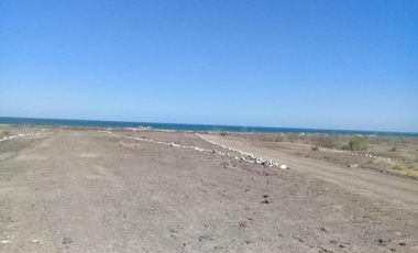 Excelente oportunidad para inversionistas 114 hectáreas en venta al sur de San Felipe  KM 51.65