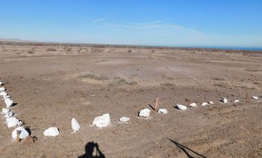 Excelente oportunidad para inversionistas 114 hectáreas en venta al sur de San Felipe  KM 51.65