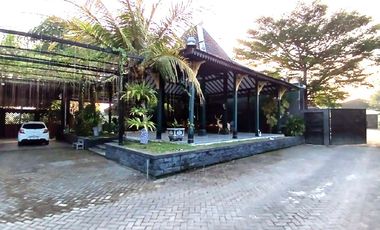 Ruko, Rumah dan Gudang Luas di Guwosari Pajangan