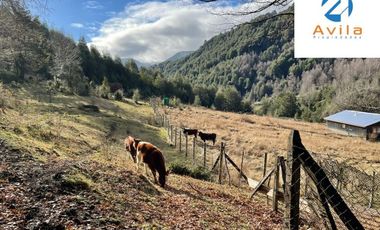CUNCO Río Blanco Parcela 5 hectáreas con derechos de agua COD.VTAP105