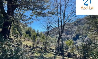 CUNCO Río Blanco Parcela 5 hectáreas con derechos de agua COD.VTAP105