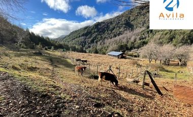 CUNCO Río Blanco Parcela 5 hectáreas con derechos de agua COD.VTAP105
