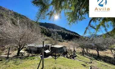 CUNCO Río Blanco Parcela 5 hectáreas con derechos de agua COD.VTAP105