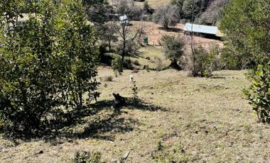 CUNCO Río Blanco Parcela 5 hectáreas con derechos de agua COD.VTAP105
