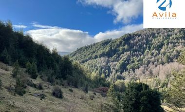 CUNCO Río Blanco Parcela 5 hectáreas con derechos de agua COD.VTAP105