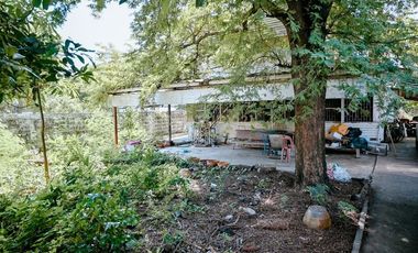 Urgent sale! Beautiful 