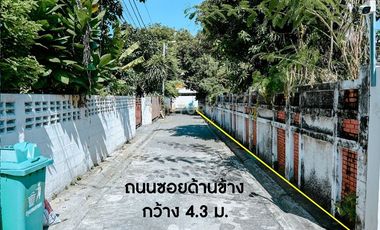 Urgent sale! Beautiful 