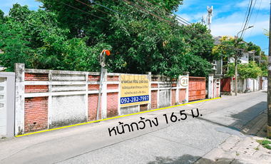 Urgent sale! Beautiful 