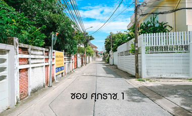 Urgent sale! Beautiful 