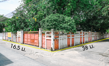 Urgent sale! Beautiful 