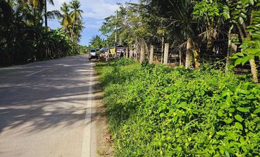 PRIME TITLED LOT FOR SALE IN LIBERTAD, BOGO, CEBU