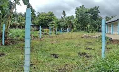 FOR SALE‼️ HOUSE & LOT IN BACONG