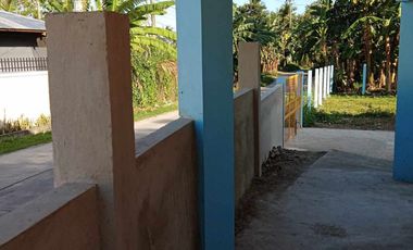 FOR SALE‼️ HOUSE & LOT IN BACONG