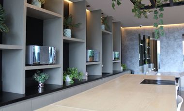 OFICINAS EN RENTA TORRE PLATEA