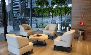 OFICINAS EN RENTA TORRE PLATEA